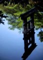 picture thumbnail