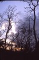 picture thumbnail